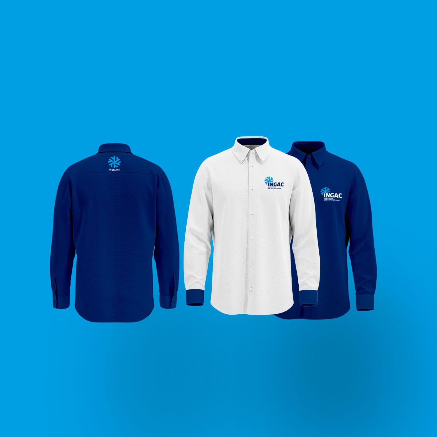 logo ingac por icame