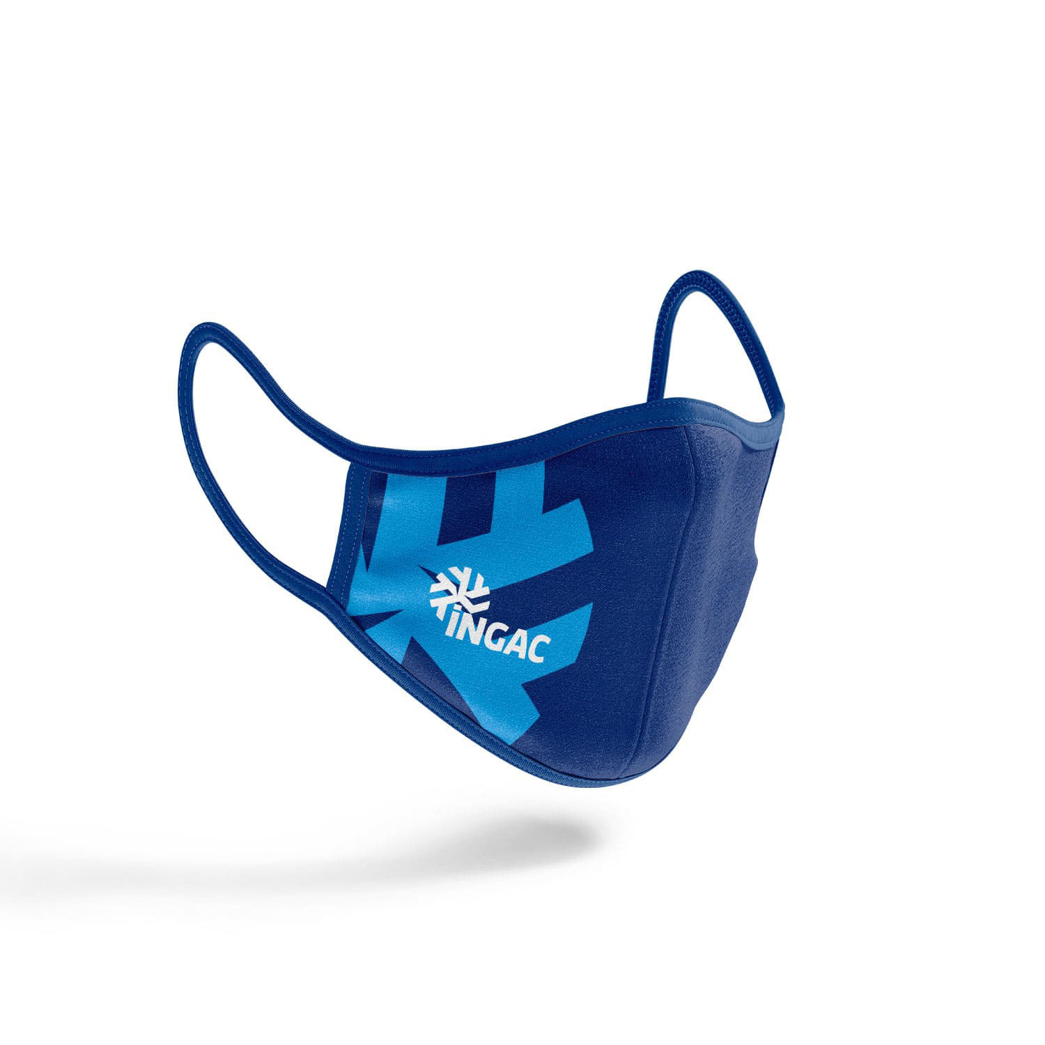 logo ingac por icame