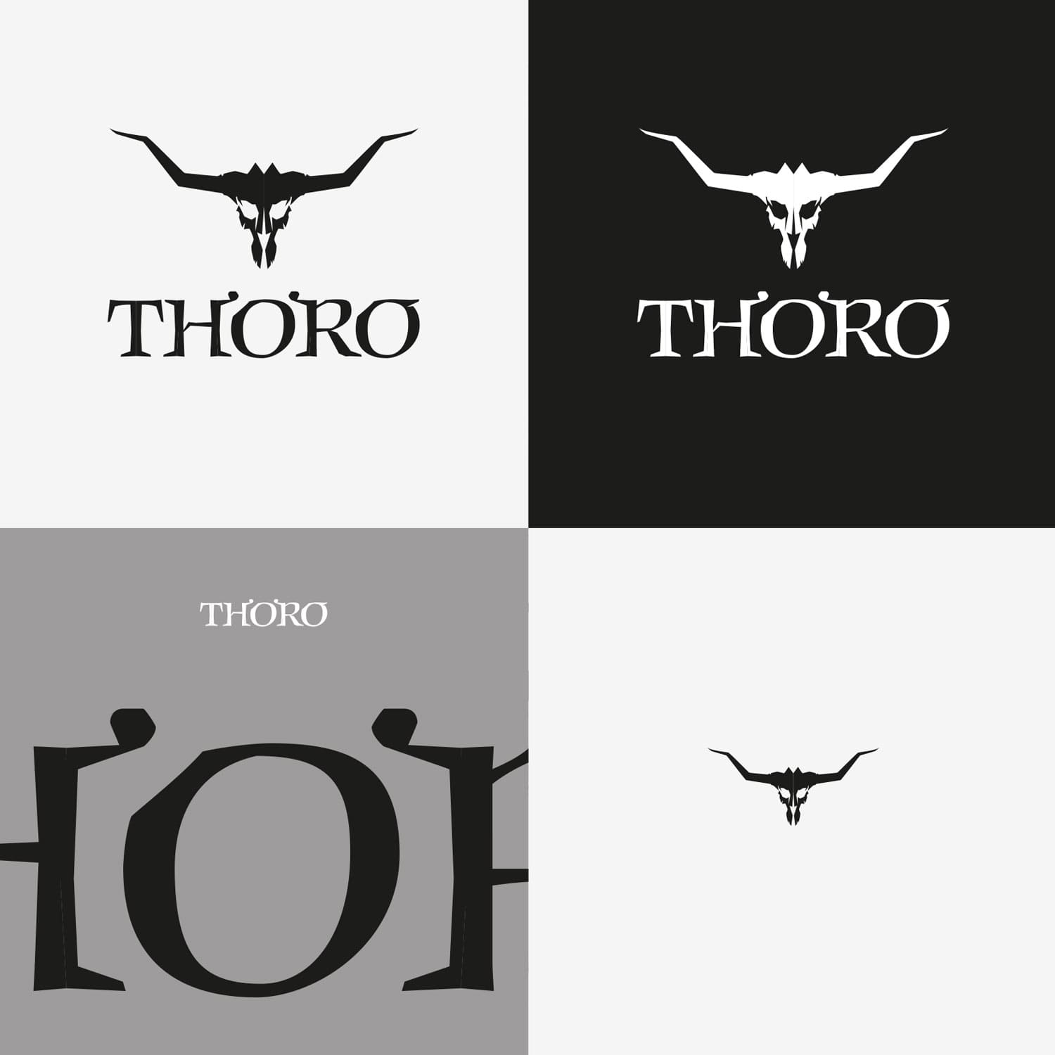 Diseño de logos y sitios web para Thoro hecho por icame en México
