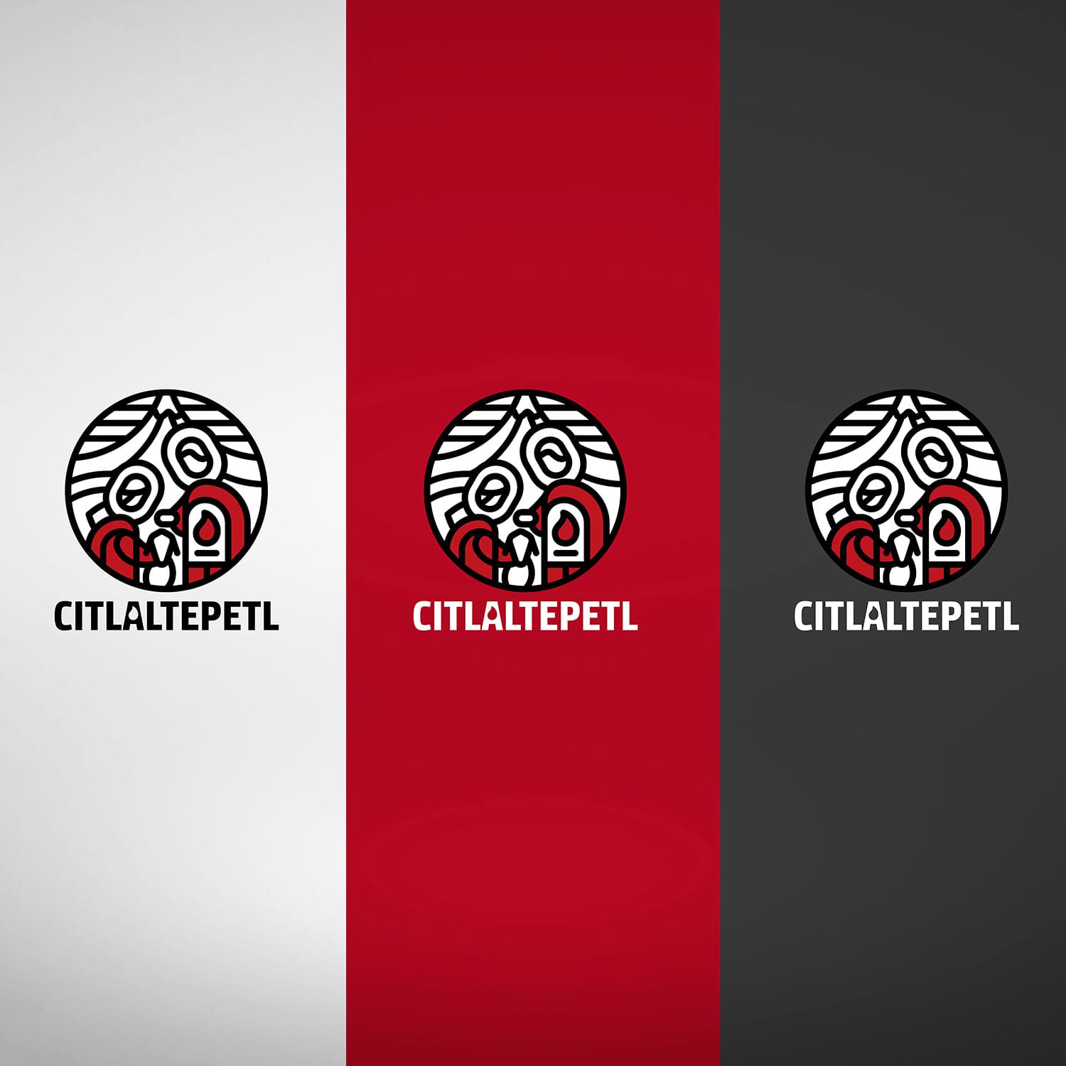 Diseño de logo por icame en Orizaba, Veracruz, México. Para Citlaltepetl